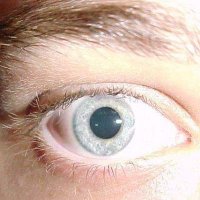 Ariel Manito (@arielmanito) 's Twitter Profile