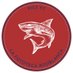 Junior FC Pics (@picsfc) Twitter profile photo Junior FC Pics (@picsfc) Twitter profile photo