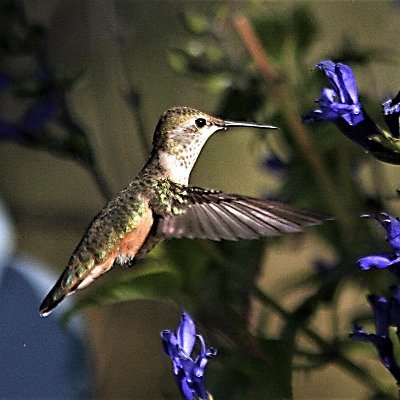 KellyLantana's profile picture. Spiritual Author & Nature Photographer 
Bio: https://t.co/8kjjeri7av
Deeply loves Jesus' authenticity, courage, love, candor in difficult situations.