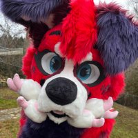Fox and Hound(@FoxandHoundFurs) 's Twitter Profile Photo