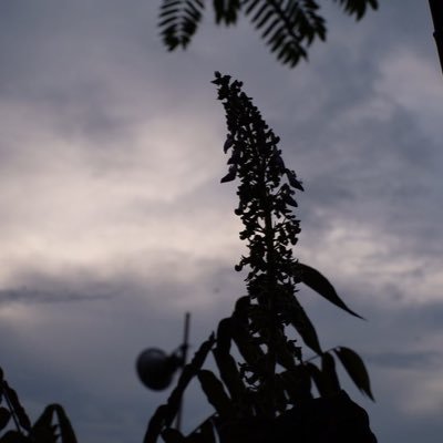 solehud67's profile picture. biasa saja