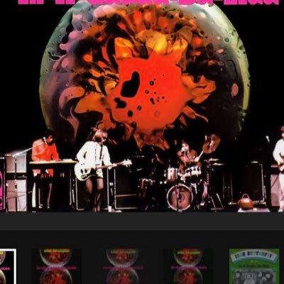 avocadodavida's profile picture. Sensible guy. My wife, children and grandchildren are my life. 💙Dogs and music. Vote BLUE!! 💙Been dropping F bombs since June 16th, 2015.