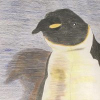 Sarcophilus Boi (@sarcoboi12v3) 's Twitter Profile