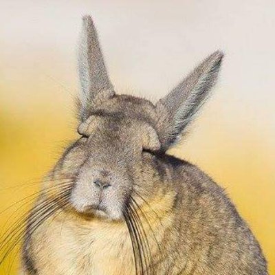 mapicheta's profile picture. Senior 3D Environment Artist at Techland