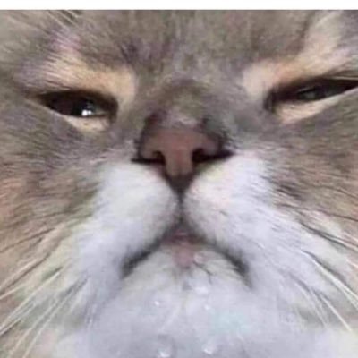 MrOctober1996's profile picture. 