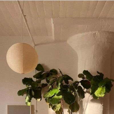 sogtt1's profile picture. 