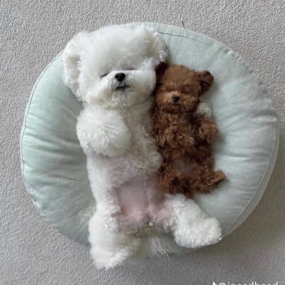 posttowire1's profile picture. 