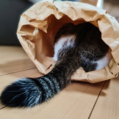 nKoG72M4hd614j6's profile picture. 学生時代から人生を考える/心理学・哲学/ちょっといい名言発信垢/こんなの好きな人フォローお願いします/苦手な人はごめんなさい/無言フォロー失礼します🌸