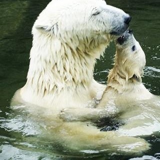 miguello2931's profile picture. La mejor sensación del mundo es ver sonreír a alguien y saber que TÚ eres el motivo.