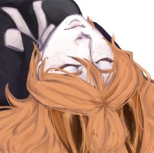 ZerdaVulpesさんのプロフィール画像