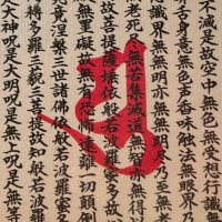 すぅぃーてぃー☆ (@0229shingomama) 's Twitter Profile