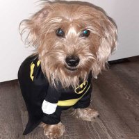 Ego (@ego287) Twitter profile photo