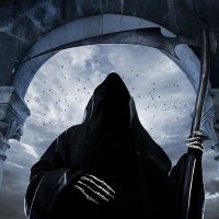 TraderPT (@realtraderpt) 's Twitter Profile