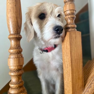 bjm_2222's profile picture. 