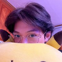 soph viu o skz • (@hlixcollector) 's Twitter Profile
