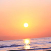 t.uttsu (@uttsut) 's Twitter Profile