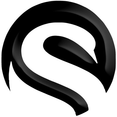 swanxr Profile Picture