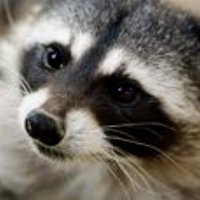 Eddi (@evbert79) 's Twitter Profile
