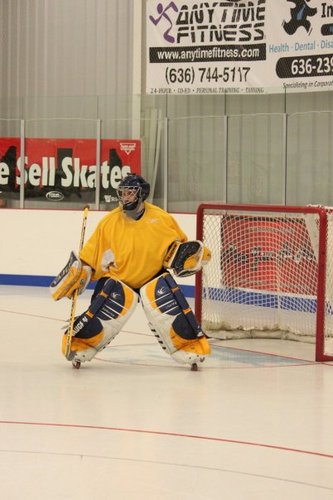 I like sports.  I try to be a hockey goalie.