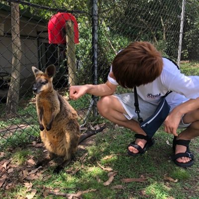 zakiyohei's profile picture. PhD student, Juntendo Univ