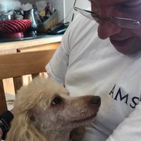 George Kasica (@gkasica) 's Twitter Profile
