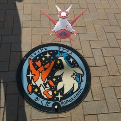 埼玉県鴻巣市中心にポケ活してます。以前は出張で全国に出没。
皆様のお陰で全国コンプ出来ました。
これからは、お世話になったフレンドさんの全国コンプを支援して行きます。