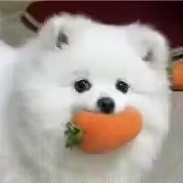 星さんのプロフィール画像