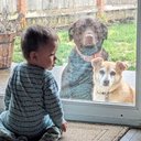 Aaron Lynn - @Aaronlynn022022 - Twitter