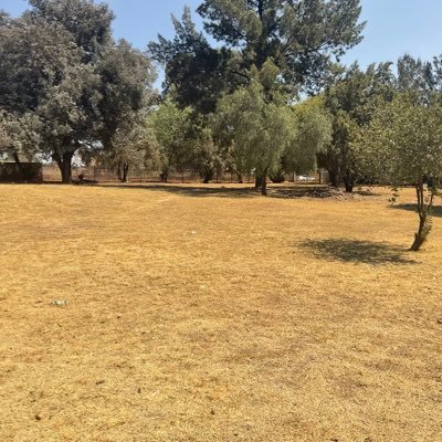 nkosi_bukhosi's profile picture. Visionary  and Strategic thinker