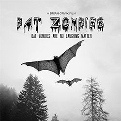 Brian Orvik, producer/screenwriter for Bat Zombies LLC, Phoenix AZ. We made the zombie comedy movie