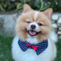 Rashon (@rashonfps) 's Twitter Profile