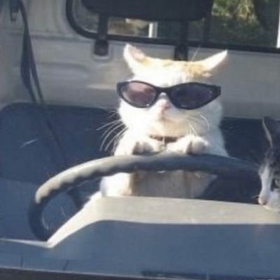 justfumb's profile picture. in the long run,we are all dead