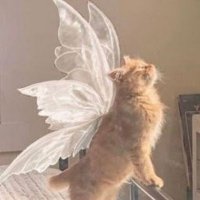 Nguyen Thu Anh (@thuanhnguyen16) 's Twitter Profile