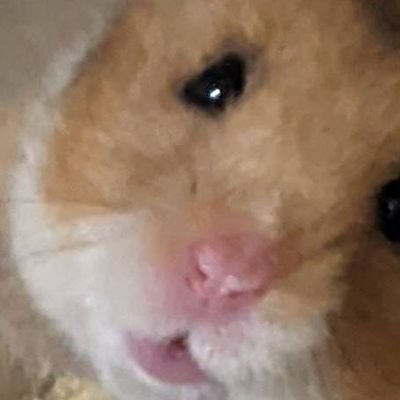 生きるの辛い