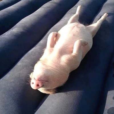 フリーランス目指して学習する者のアカウント。今年は絶対案件取ります🔥同じ志の方どうぞよろしくお願いします!勧誘は受け付けてません🙇♂️
