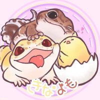 ぴらこ🐣 (@piraco26) 's Twitter Profile
