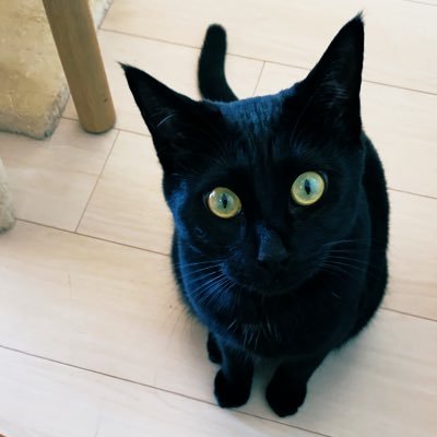 umarekawaruneko's profile picture. 毒親カウンセリング/親が宗教にハマっている/支配干渉暴力親/いつも同じパターンでうまくいかなくなる/怒りが抑えられない/うつ/体調が悪い/あなたの悩みは親からのトラウマや親の念が原因かも？スピリチュアルトラウマカウンセリング/ご依頼・お問合せはDMまで