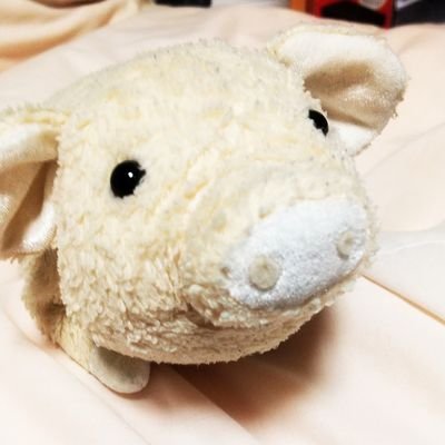 毒舌だけどやさしい(`ω´)トンキチ。
わるいっこくらぶ134番✨ぬいぐるみと繋がるカフェ『🐷TONKIES Cafe』ぬいぐるみ店長。#トンキーズカフェ #ぬい撮り #ぬいぐるみ
お店のアカウント→ @tonkichicafe
以前までのアカウント➔ @to__nkickbaby