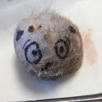 Tierärztin Wiscy 📯 (@wiscy2018) Twitter profile photo