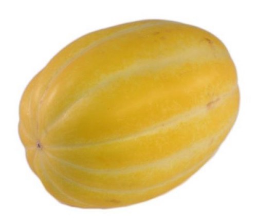 TheYWmelon's profile picture. I am a commentator