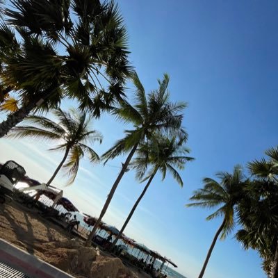 FACKJW2's profile picture. 産まれた時からエホバの証人として育てられました！JW2世組です！ 兄弟は全員排斥、自分は断絶申告組www. かーちゃん現役バリバリ…かーちゃん高齢なので、とりあえずお仲間に老後の世話お願いしたいと思う今日このごろ