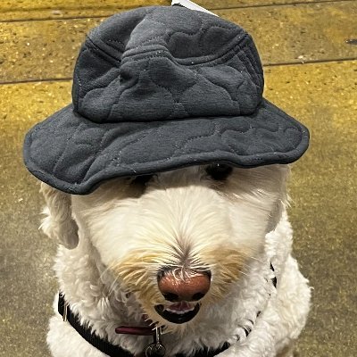 Middlerondaroof's profile picture.