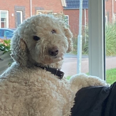 Trees_1970's profile picture. Getrouwd met Cor en trotse moeder van Nienke