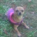 Amy Bridges - @NoliaChick - Twitter