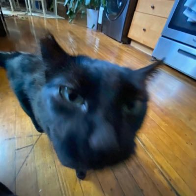 samcanread's profile picture. bad at watching movies