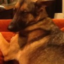 Maggie Stocker - @MaggieBeepBeep - Twitter