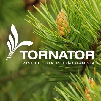 Euroopan johtava kestävään metsätalouteen erikoistunut yhtiö, joka omistaa metsiä Suomen lisäksi Virossa ja Romaniassa.