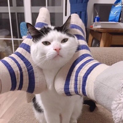 shuxinde's profile picture.