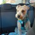 Curly Lakeland (@curlylakeland) Twitter profile photo Curly Lakeland (@curlylakeland) Twitter profile photo