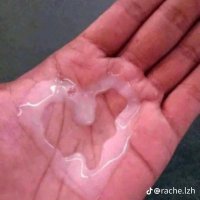 freak.central (@badbidd50389105) 's Twitter Profile